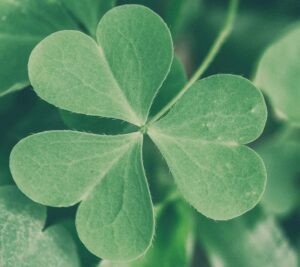 Read more about the article Forget the Lottery: Your Greatest Luck Is Simply Being Here