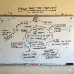 Zohran Mamdani Didn’t Lie: The Simple Rules of the African Family Tree